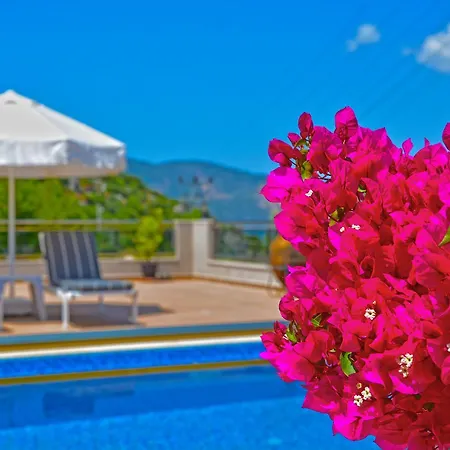 Stone Kalkan