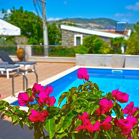 Stone * Kalkan